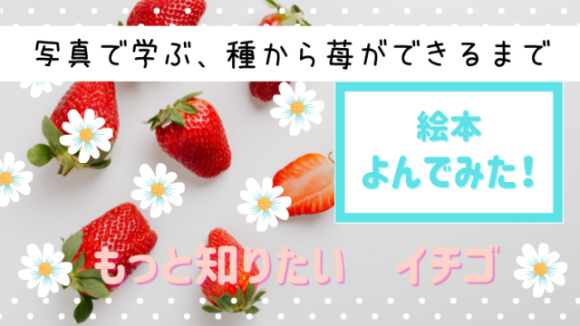 うさぎ 苺 お菓子 可愛いものしか出てこない絵本を読みました 絵本サンタ